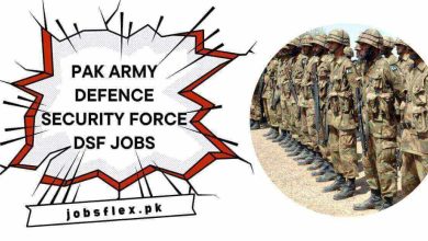 Pak Army Defence Security Force DSF Jobs