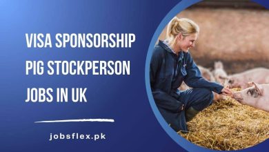 Visa Sponsorship Pig Stockperson Jobs in UK