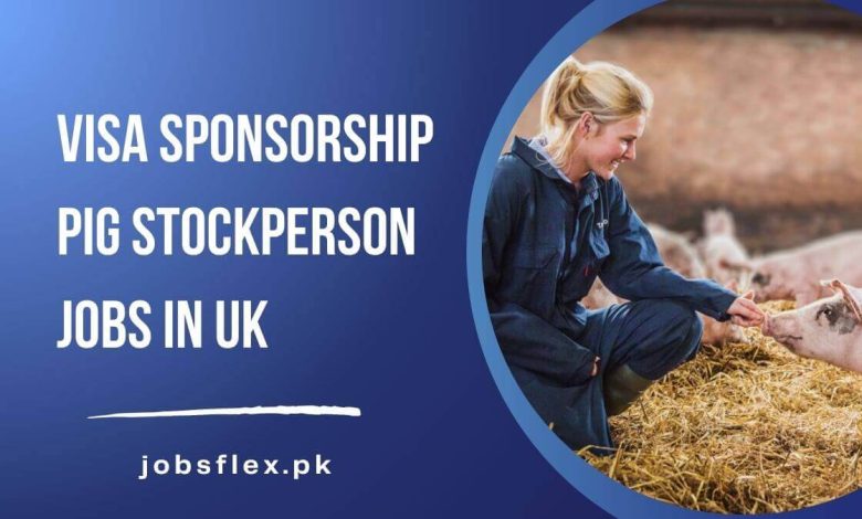 Visa Sponsorship Pig Stockperson Jobs in UK