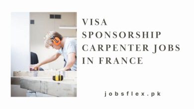 Visa Sponsorship Carpenter Jobs in France