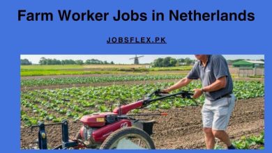 Farm Worker Jobs in Netherlands