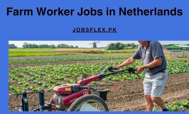 Farm Worker Jobs in Netherlands