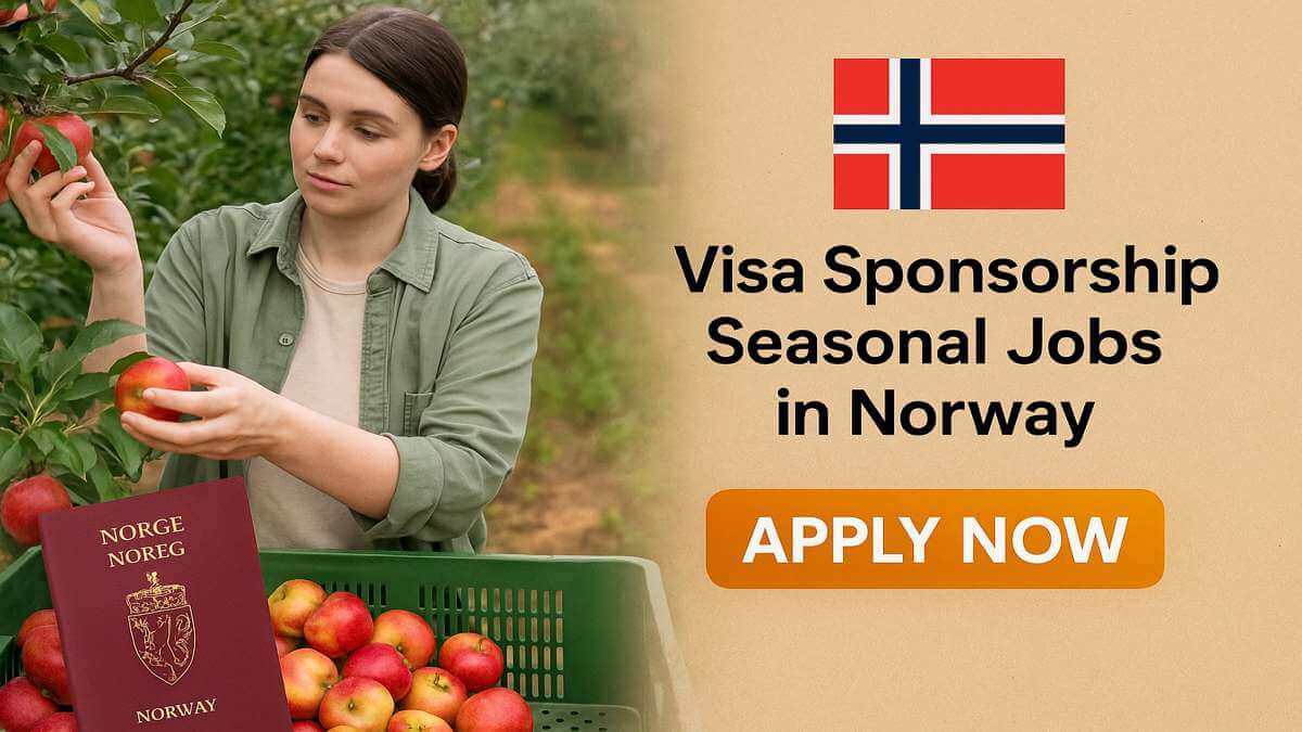 Visa Sponsorship Seasonal Jobs in Norway