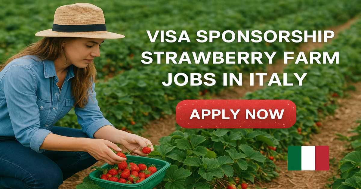 Visa Sponsorship Strawberry Farm Jobs in Italy